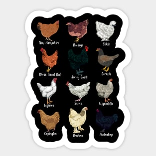 Chickens of the world - types of chickens Sticker